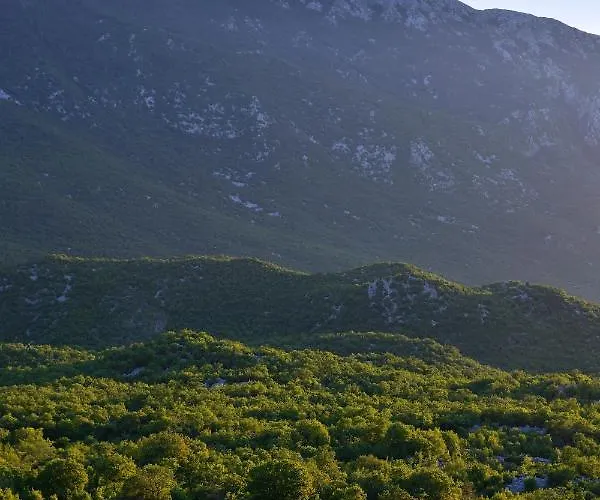 Charming And Authentic Stone Stanic Zagvozd